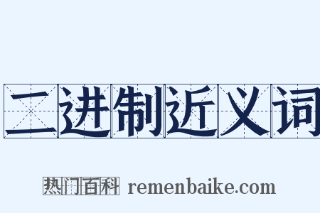 二进制近义词是什么意思的图片